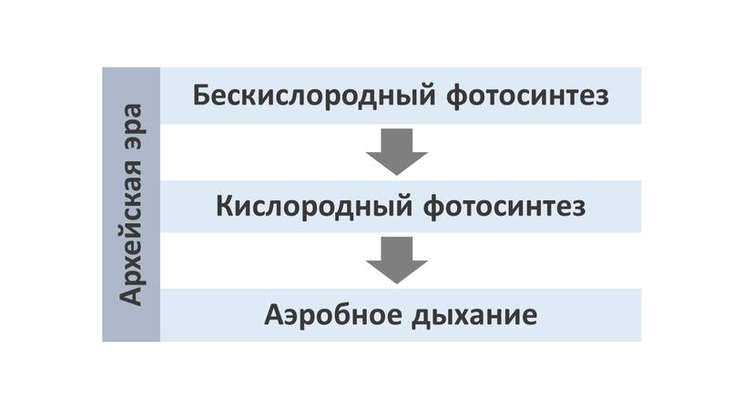 Архейская эра Бескислородный фотосинтез