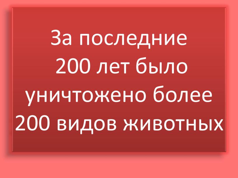 За последние 200 лет было уничтожено более 200 видов животных