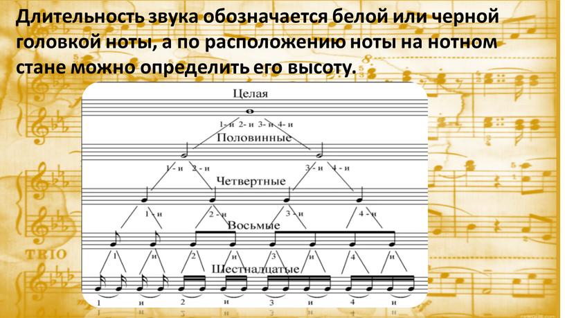 Длительность звука обозначается белой или черной головкой ноты, а по расположению ноты на нотном стане можно определить его высоту