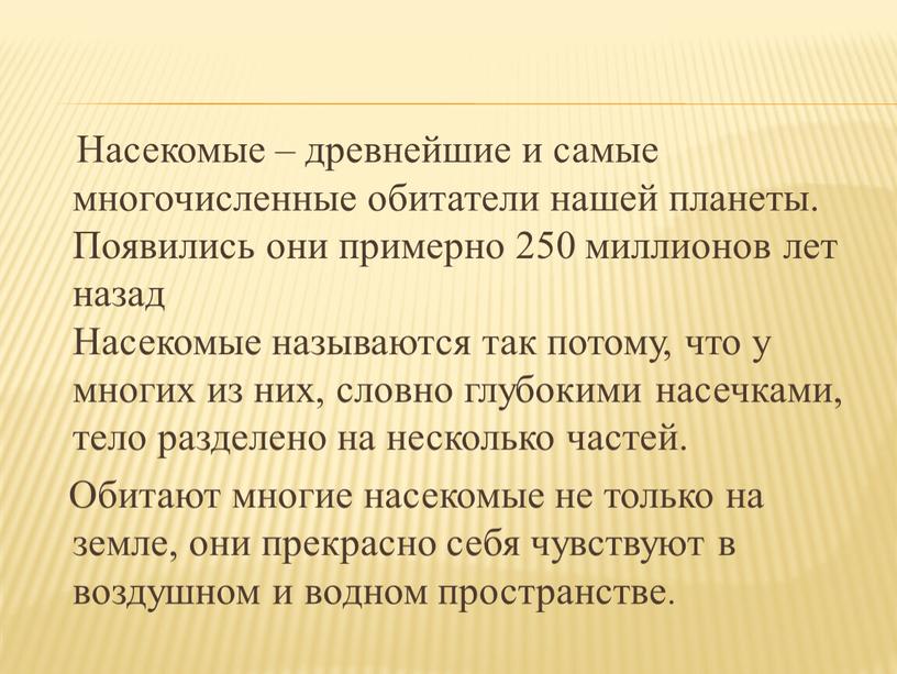 Насекомые – древнейшие и самые многочисленные обитатели нашей планеты