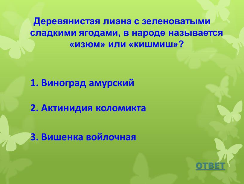 Деревянистая лиана с зеленоватыми сладкими ягодами, в народе называется «изюм» или «кишмиш»?