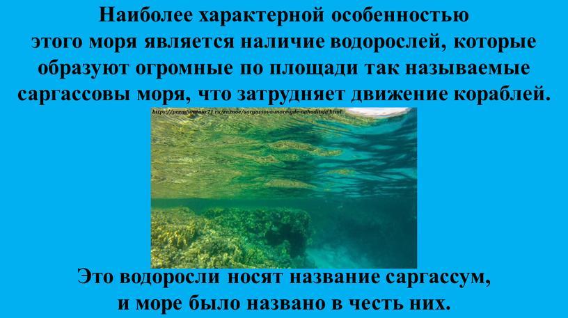 Наиболее характерной особенностью этого моря является наличие водорослей, которые образуют огромные по площади так называемые саргассовы моря, что затрудняет движение кораблей