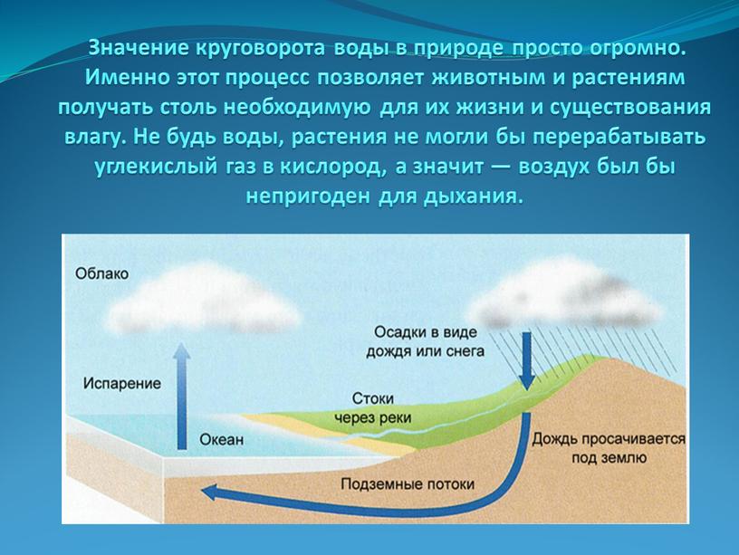 Значение круговорота воды в природе просто огромно