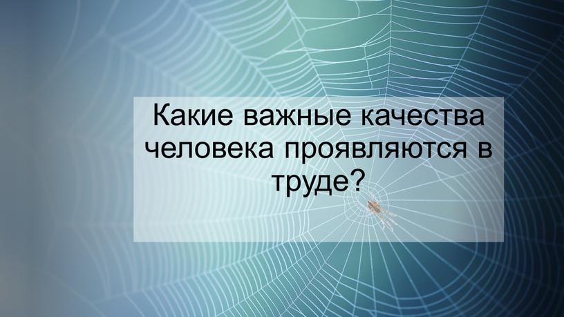 Какие важные качества человека проявляются в труде?