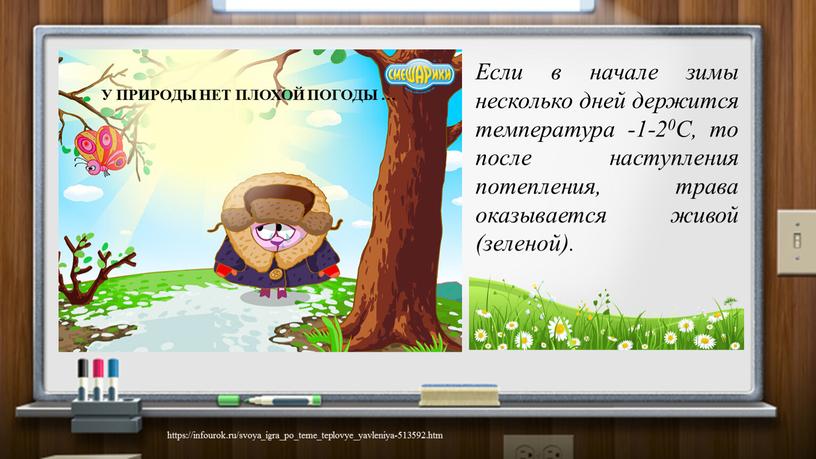 Если в начале зимы несколько дней держится температура -1-20С, то после наступления потепления, трава оказывается живой (зеленой)