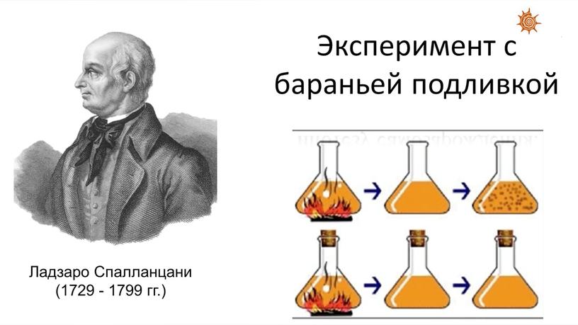 Презентация по теме "Гипотезы происхождения жизни на Земле"