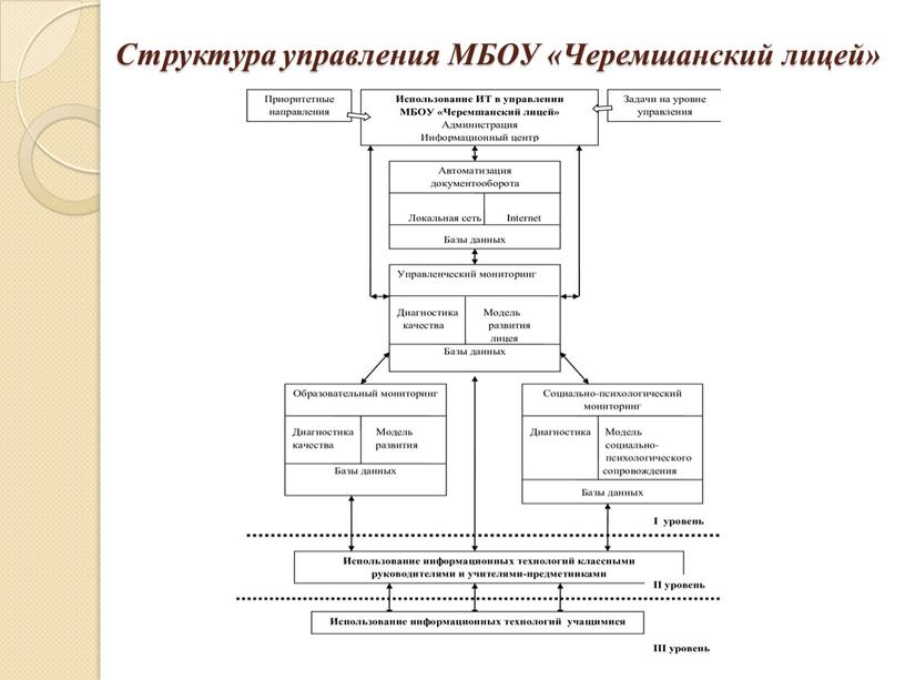 Структура управления МБОУ «Черемшанский лицей»