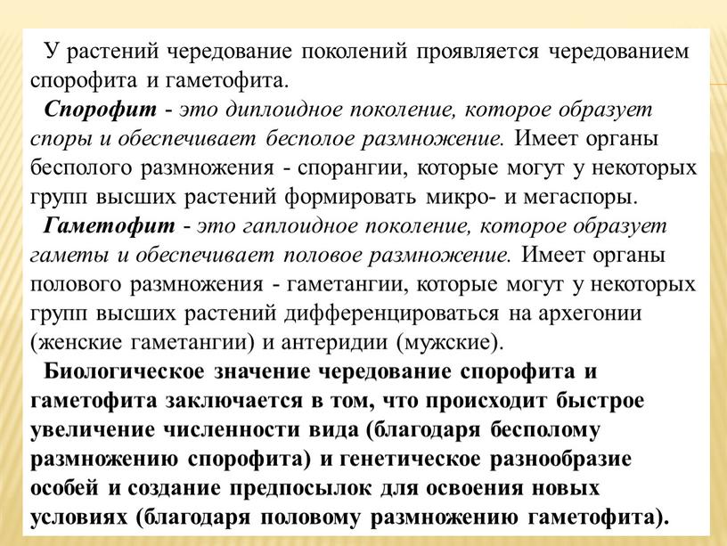 У растений чередование поколений проявляется чередованием спорофита и гаметофита