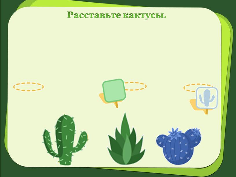 Расставьте кактусы.