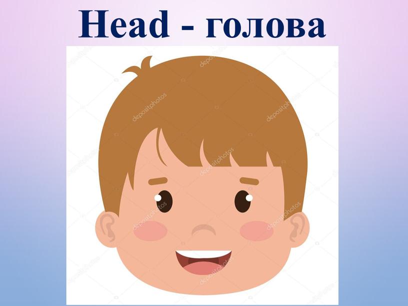 Head - голова