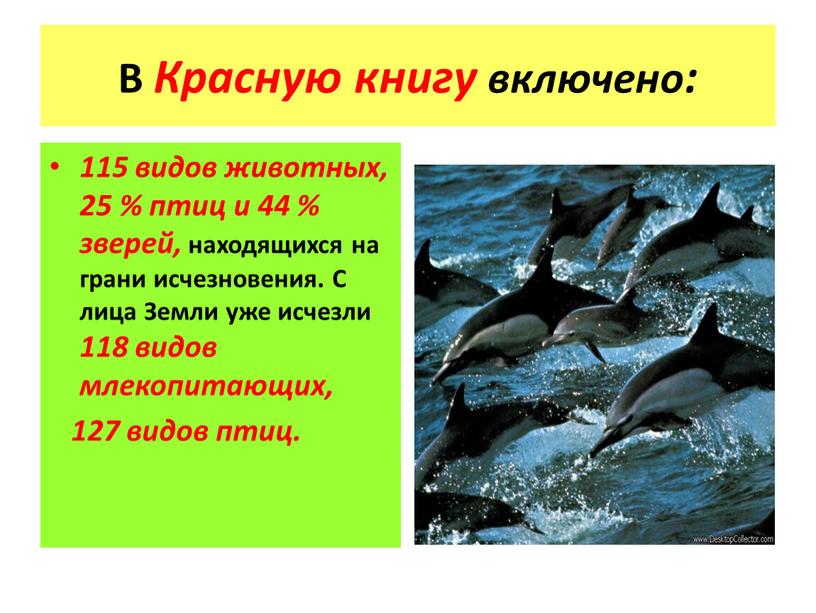 В Красную книгу включено: 115 видов животных, 25 % птиц и 44 % зверей, находящихся на грани исчезновения