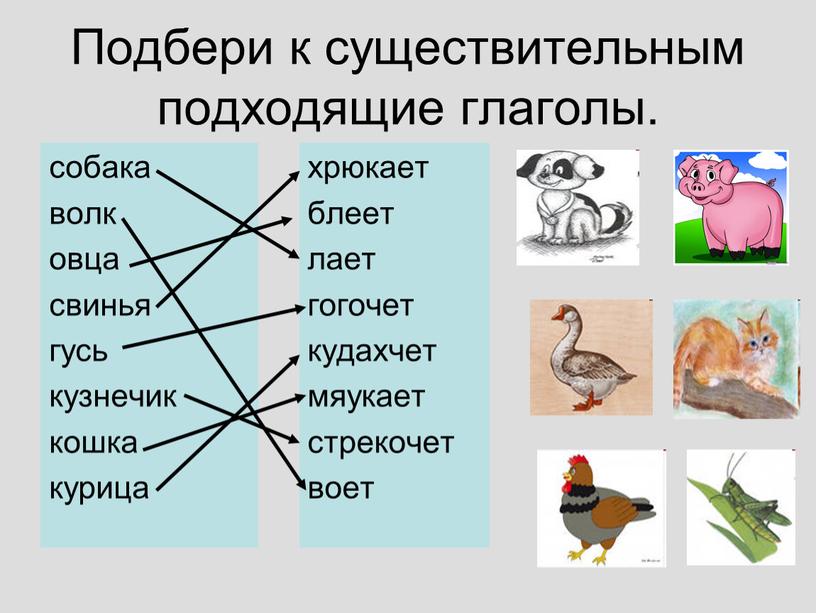 Подбери к существительным подходящие глаголы