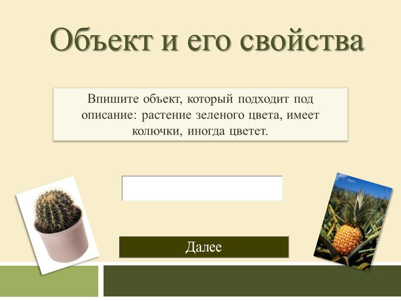 Объект и его свойства Впишите объект, который подходит под описание: растение зеленого цвета, имеет колючки, иногда цветет