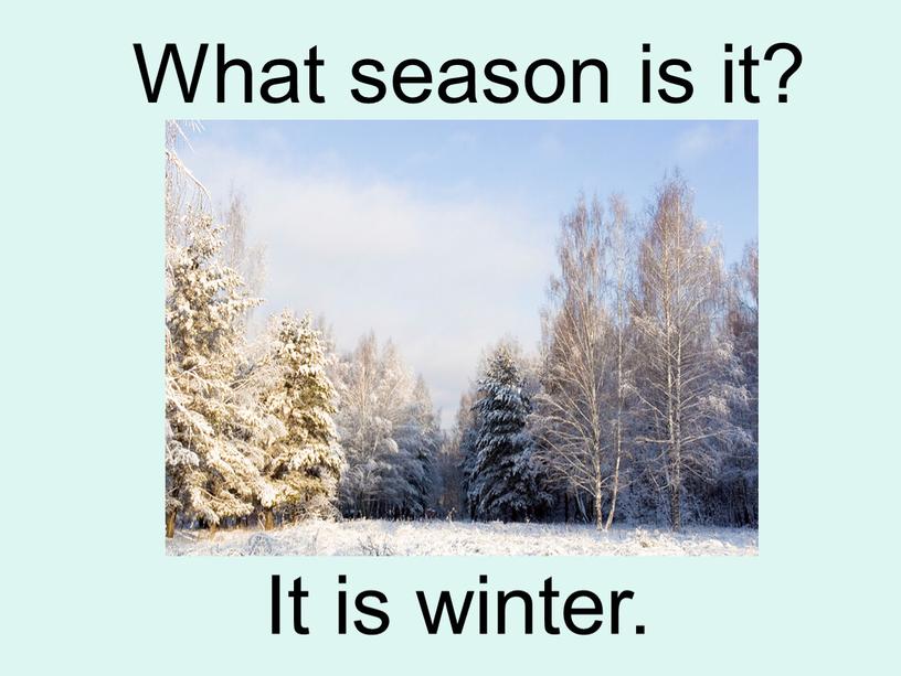 What season is it? It is winter