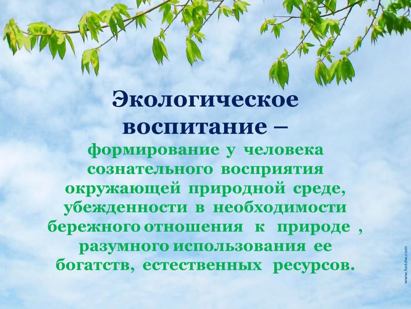 Экологическое воспитание – формирование у человека сознательного восприятия окружающей природной среде, убежденности в необходимости бережного отношения к природе , разумного использования ее богатств, естественных ресурсов