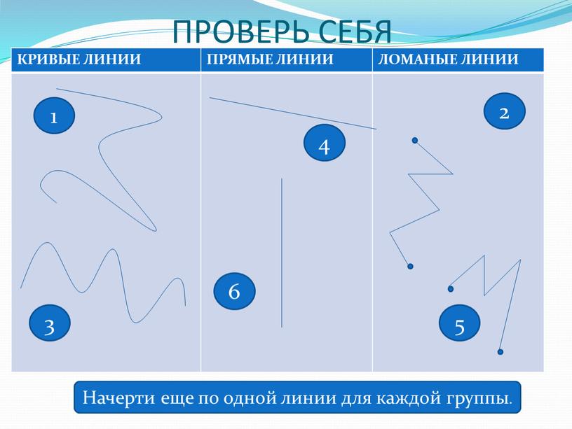 ПРОВЕРЬ СЕБЯ КРИВЫЕ ЛИНИИ ПРЯМЫЕ