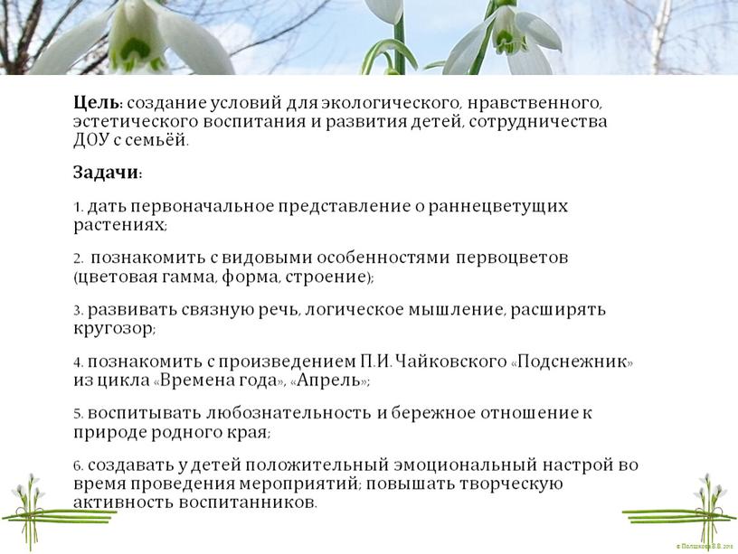 Цель: создание условий для экологического, нравственного, эстетического воспитания и развития детей, сотрудничества