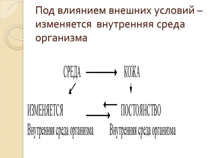 Под влиянием внешних условий – изменяется внутренняя среда организма