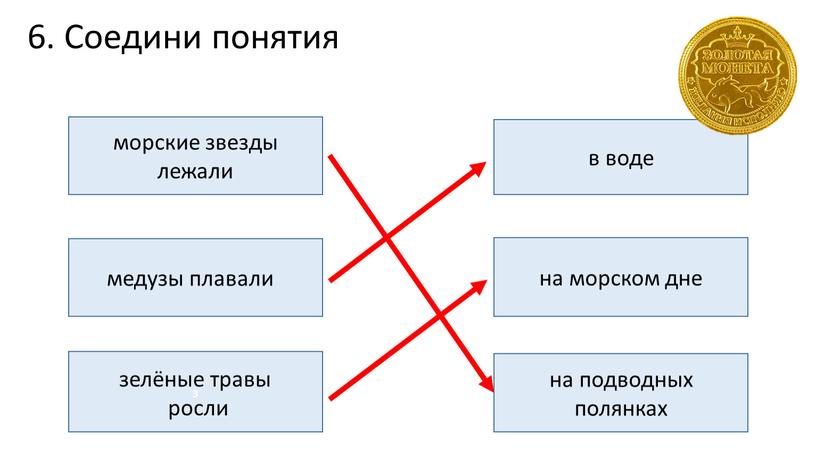 Соедини понятия морские звезды лежали з в воде на морском дне на подводных полянках медузы плавали зелёные травы росли