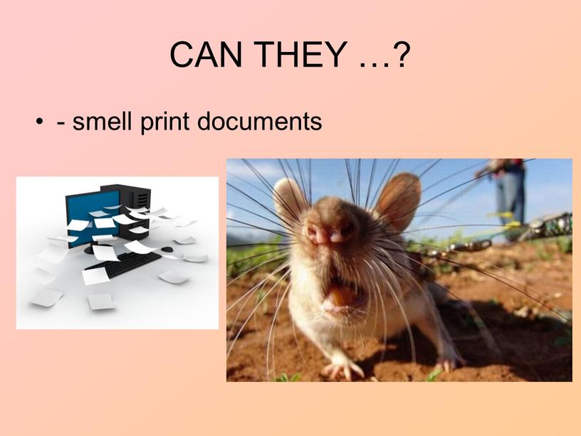 CAN THEY …? - smell print documents
