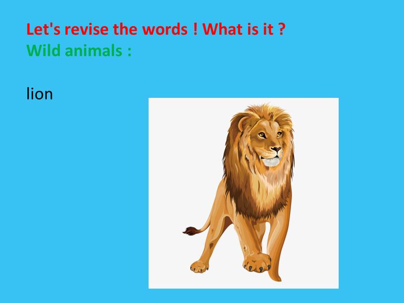 Let's revise the words ! What is it ?