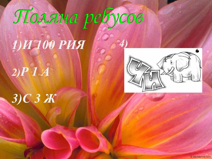 Поляна ребусов И 100 РИЯ 4) 2)Р 1