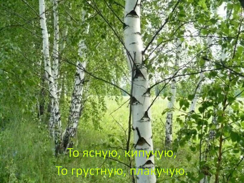 То ясную, кипучую, То грустную, плакучую