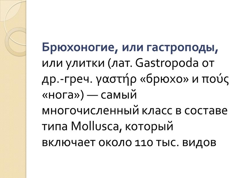 Брюхоногие, или гастроподы, или улитки (лат