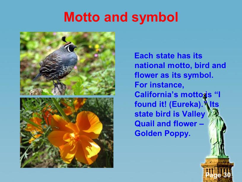 Motto and symbol Each state has its national motto, bird and flower as its symbol