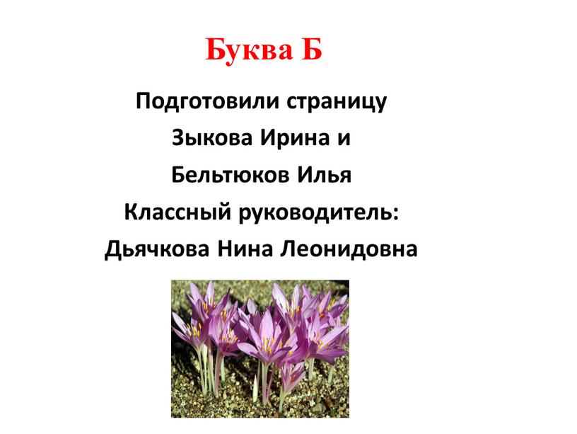 Буква Б Подготовили страницу Зыкова