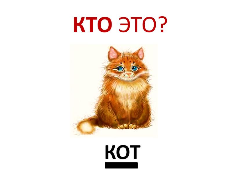 КТО ЭТО? КОТ