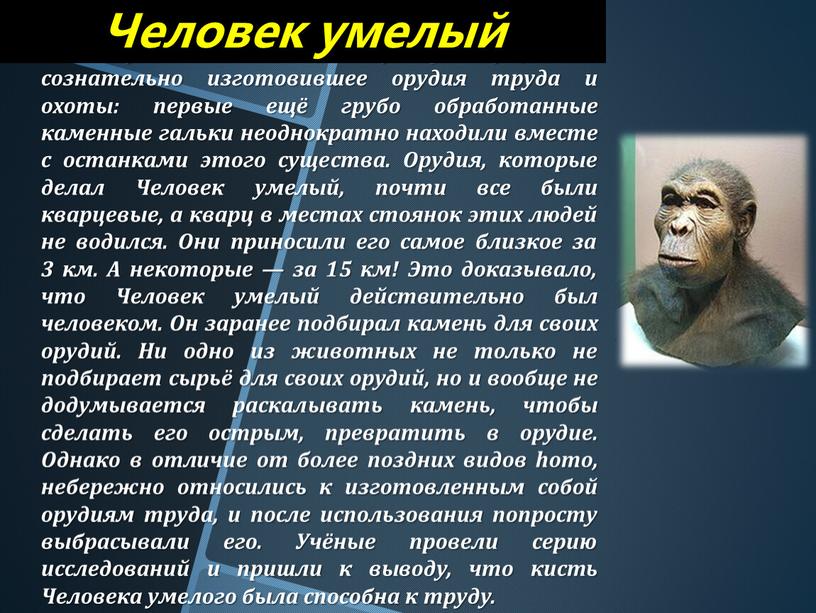 Человек умелый — по-видимому, первое существо, сознательно изготовившее орудия труда и охоты: первые ещё грубо обработанные каменные гальки неоднократно находили вместе с останками этого существа