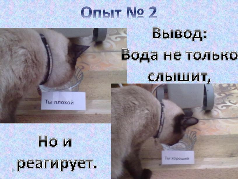 Опыт № 2 Вывод: Вода не только слышит,