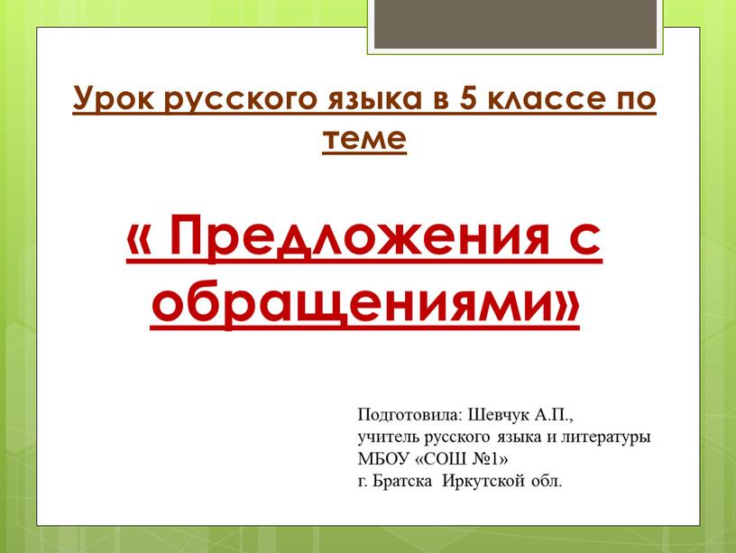 Урок русского языка в 5 классе по теме «