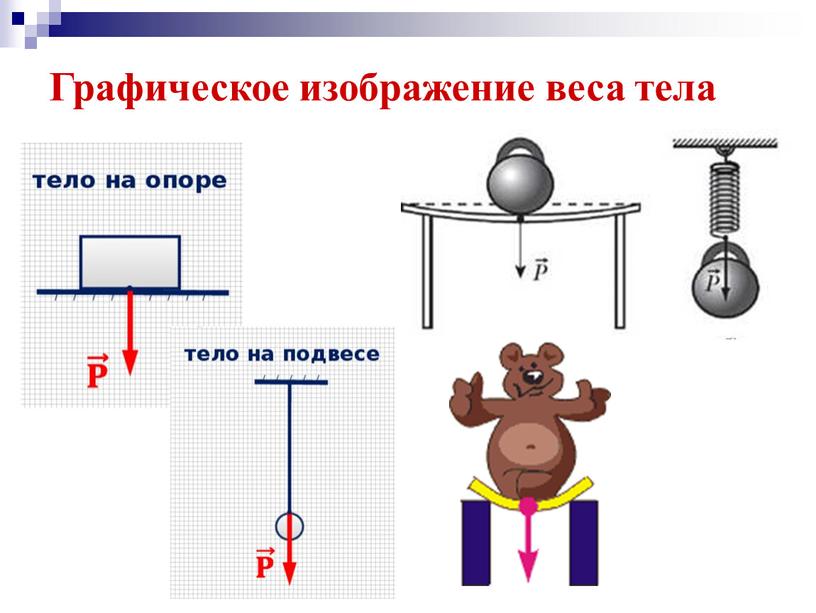 Графическое изображение веса тела