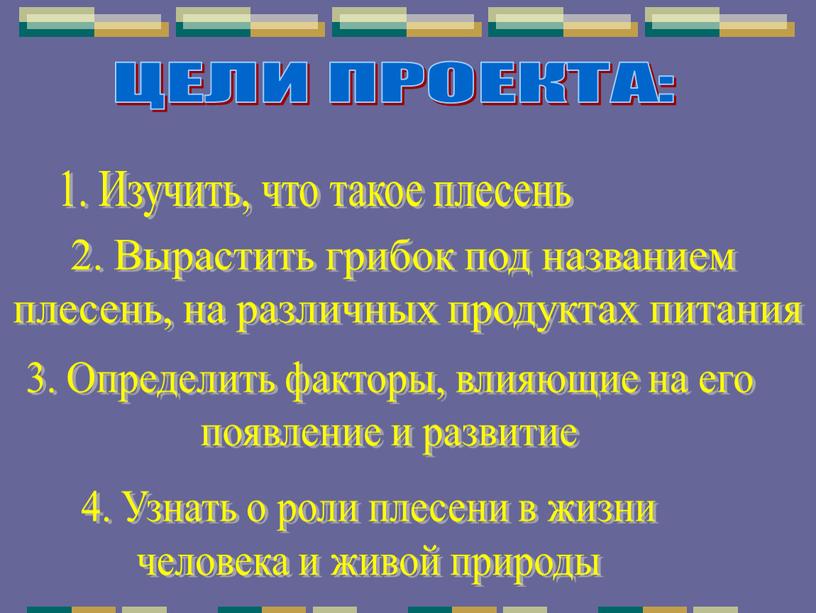 ЦЕЛИ ПРОЕКТА: 1. Изучить, что такое плесень 2