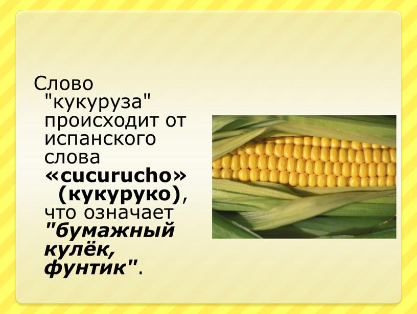 Слово "кукуруза" происходит от испанского слова «cucurucho» (кукуруко) , что означает "бумажный кулёк, фунтик"