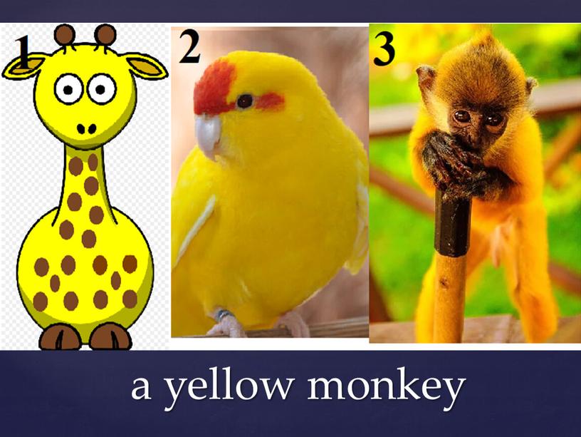 a yellow monkey