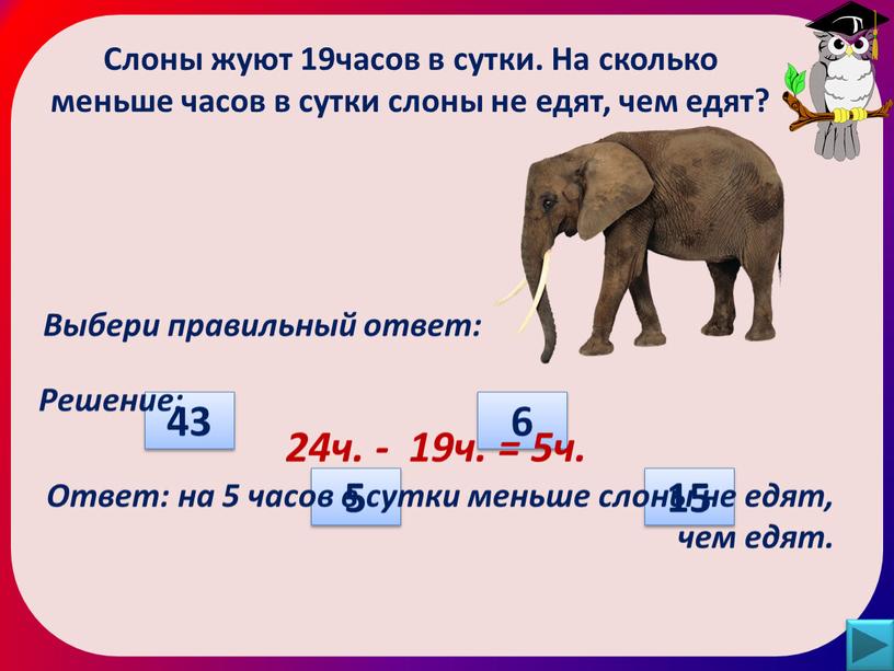 Слоны жуют 19часов в сутки. На сколько меньше часов в сутки слоны не едят, чем едят?