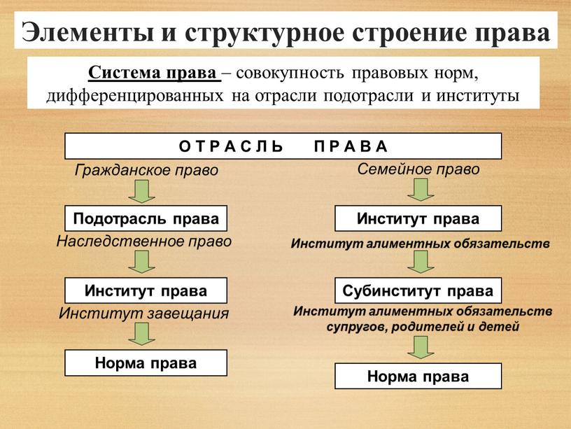 Подотрасли промышленности. Семейное право подотрасли и институты. Подотрасль промышленности. Расскажите о различных элементах в системе права отрасли подотрасли. Подотрасли транспортной отрасли.