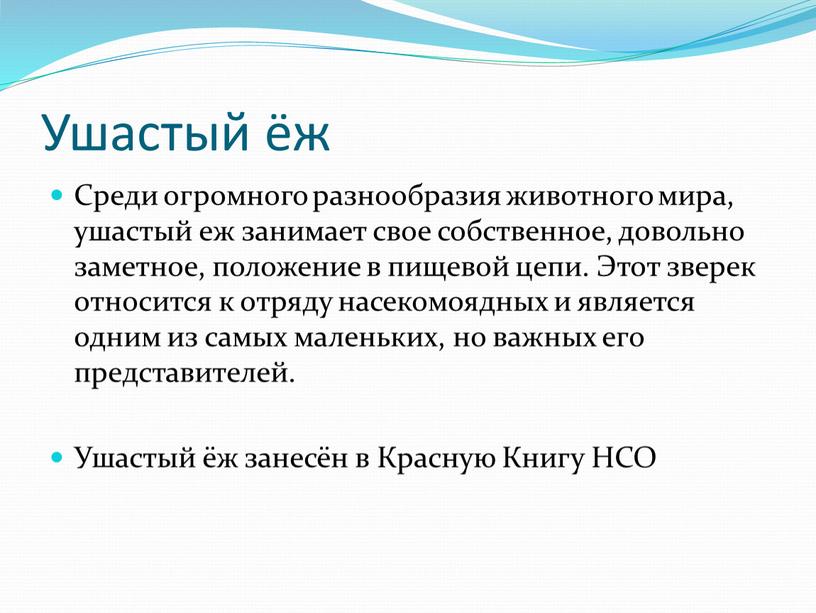 Ушастый ёж Среди огромного разнообразия животного мира, ушастый еж занимает свое собственное, довольно заметное, положение в пищевой цепи