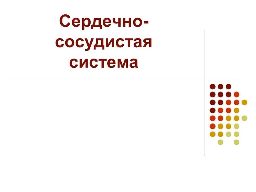 Сердечно-сосудистая система