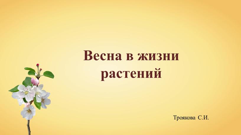 Весна в жизни растений Троякова