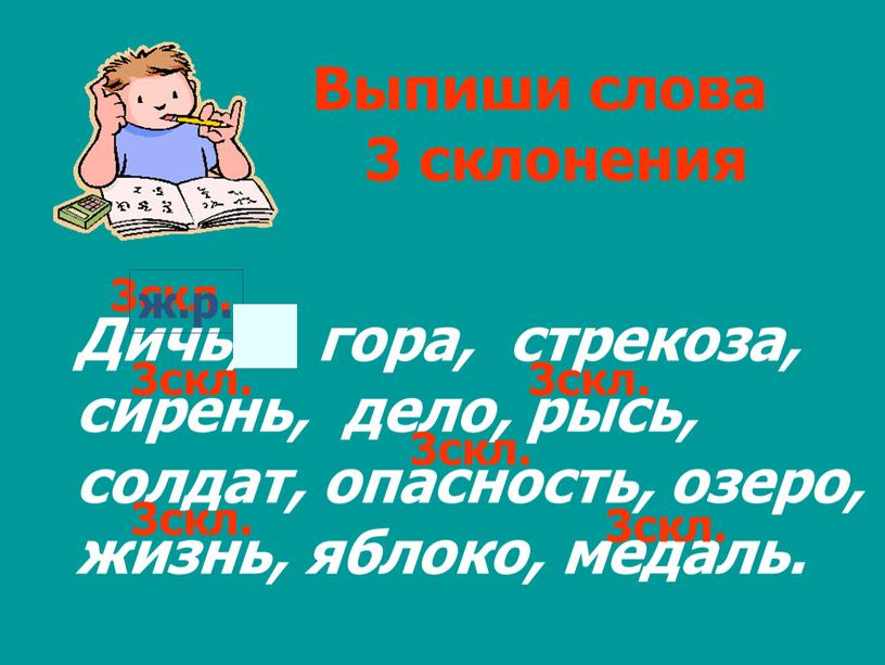 Выпиши слова 3 склонения Дичь, гора, стрекоза, сирень, дело, рысь, солдат, опасность, озеро, жизнь, яблоко, медаль