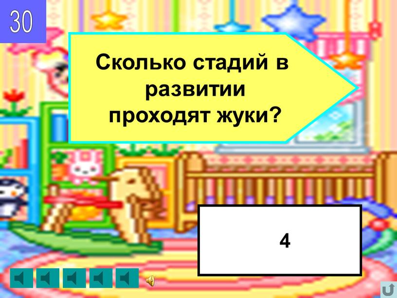 Сколько стадий в развитии проходят жуки?