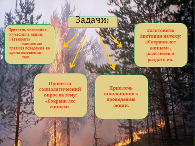 Презентация " Акция Сохраним лес живым"