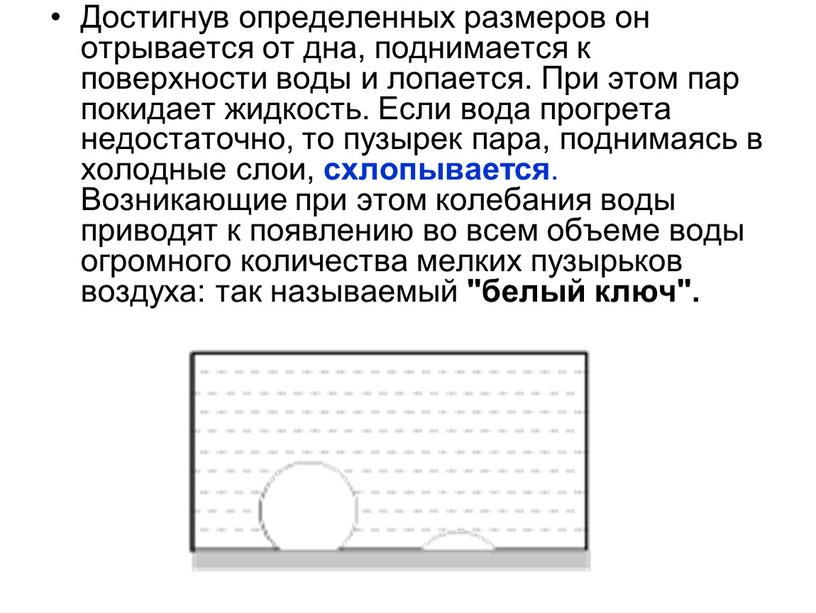 Достигнув определенных размеров он отрывается от дна, поднимается к поверхности воды и лопается