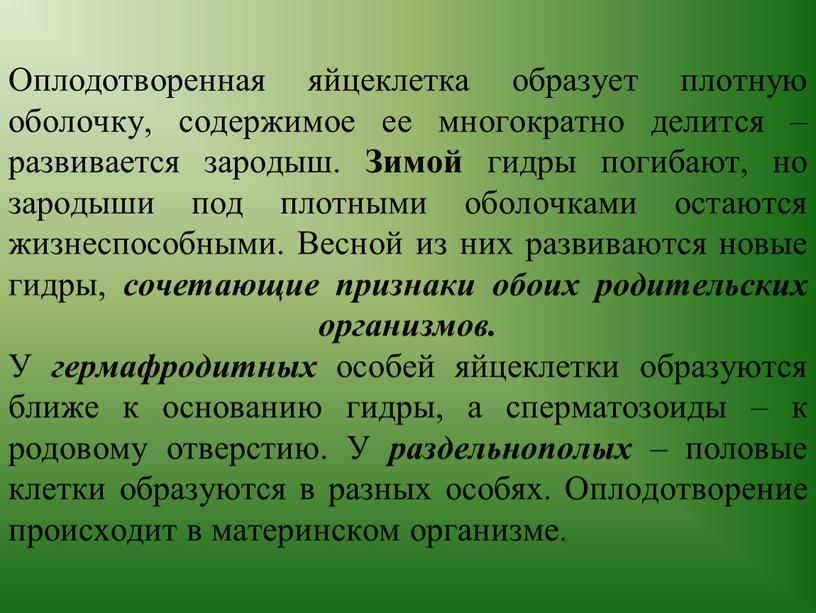 Оплодотворенная яйцеклетка образует плотную оболочку, содержимое ее многократно делится – развивается зародыш