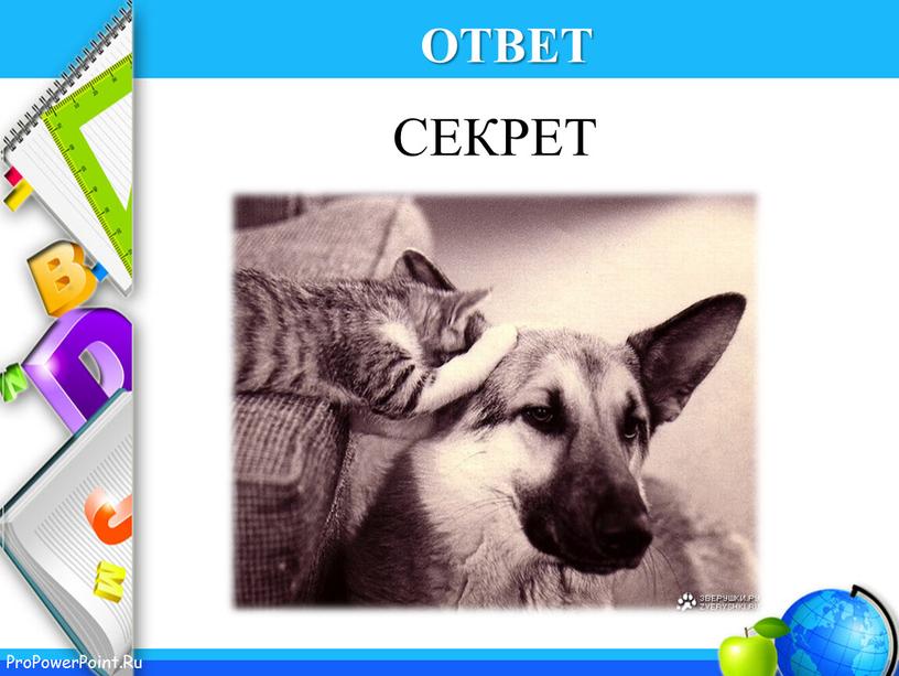 ОТВЕТ СЕКРЕТ