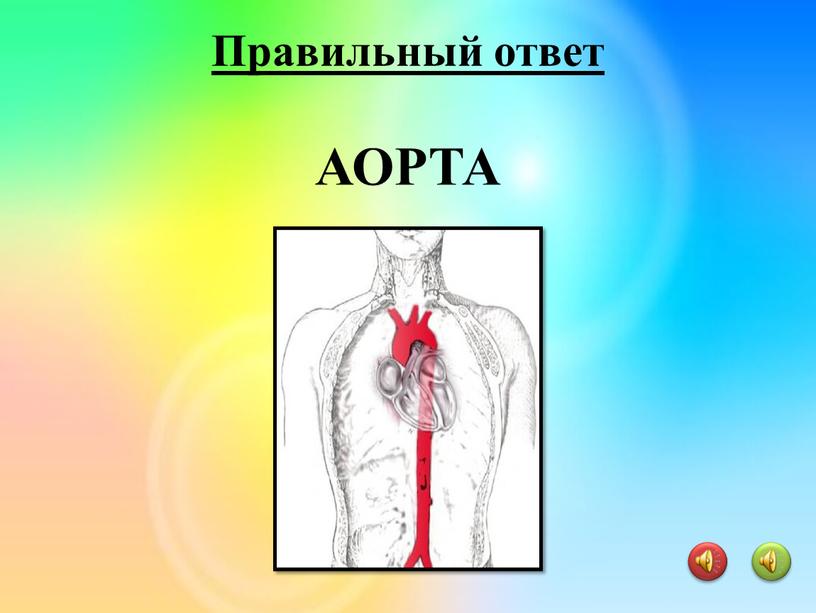 АОРТА Правильный ответ